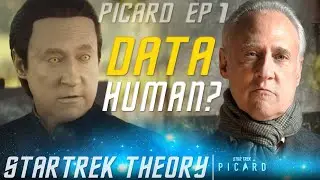 Data become Human Organic/Synthetic? | Star Trek Picard Theory