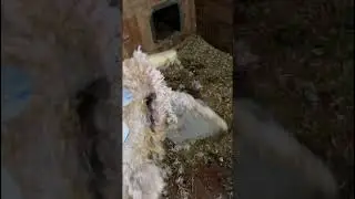 Упс 🙊 а кто это сделал?! 🙈 