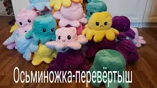 ОСЬМИНОЖКА ПЕРЕВЕРТЫШ. 