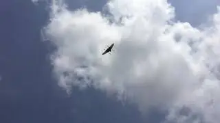 Preliminary Flight test of 3m VTOL Flying Wing Drone/UAV