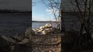 23 апреля 2024 г.