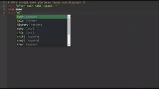 This Bash Script asks for User Input and Displays it.