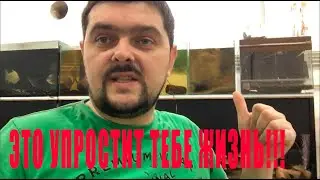 Обитатели, которые должны быть в КАЖДОМ аквариуме!