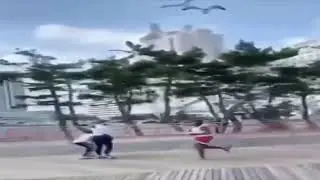 Shitpost Status