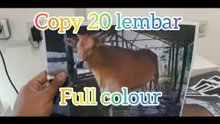 Copy 20 lembar full colour di mesin fotocopy HP E87650 || Fotocopy warna yang stabil