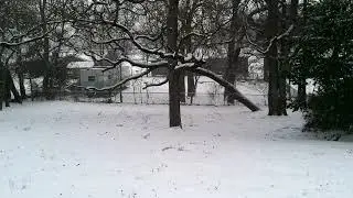 002 Snow Azle TX Don Bishop 2021-02-14