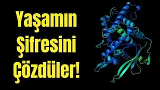 They Solved Protein Folding, Everything Will Change!