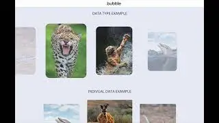 Bubble IO Smooth Carousel