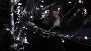 Twinkle Super Mini Lights by Village Lighting Company