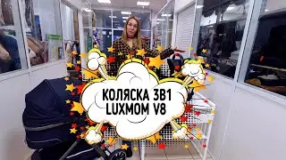 Коляска Luxmom 3в1 V8