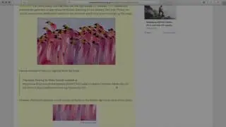 Animate CC working with text - how to scroll credits