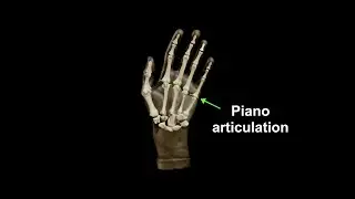 3. The Chopin method: the piano hand