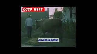 ✅🚲 детство на деревне во времена СССРshorts#1