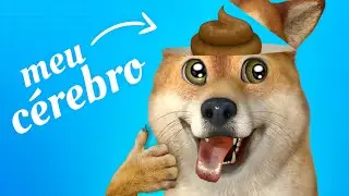 EU SOU BURRO.... 😭😭😭