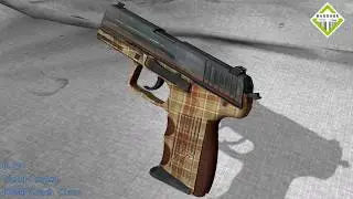 P2000 Coach Class Skin Wear & Float Preview