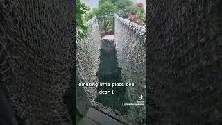 for treehouse lovers