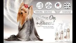 The Blissful Dog Shine On+Sheen Dog Coat Leave In Conditioning Spray