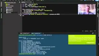Introduction to the Terminal Monitor