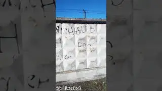 Граффити группы Наив #рок #музыка #панк #рек #наив #чача #saiverkot