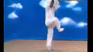 KOU‐形意拳・十二形拳分解教学/８燕形(邸国勇)