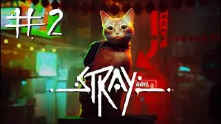 Stray Gameplay Прохождение #2 Walkthrough Part #2 Cyberpunk