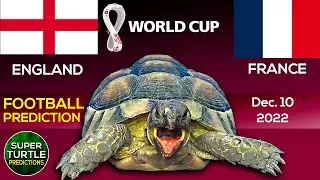 England vs France ⚽ Quarter Finals | World Cup 2022 | 🐢 Turtle Football Predictions