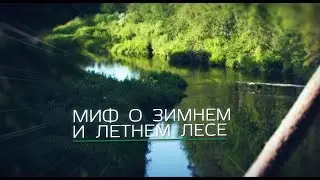 Рубленные дома и бани. Миф о летнем и зимнем лесе.