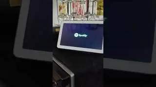 Google Nest Hub Crash Spotify if play on Group Speaker