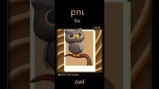 OWL 🦉 բու | Armenian Language for Beginners 