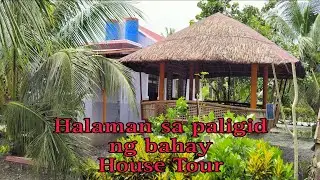 Halamanan sa paligid ng bahay( House Tour)