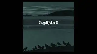 UPPER CLASS - SEAGULL JOINTS II (FULL ALBUM)