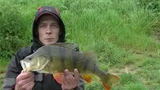 Big fish belgium(4)