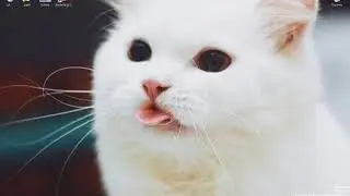 кандидат1