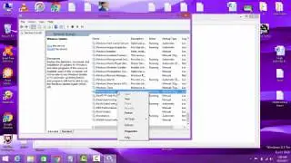 How To disable windows 8 auto updates