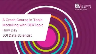 A Crash Course in Topic Modelling with BERTopic