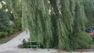 #Орхей И снова ул.Димо 14.07.24