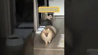 Просто возмутительно🧐 