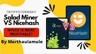 Salad Miner VS Nicehash: SALAD MINER IS SCAMMING YOU!!!! USE NICEHASH INSTEAD!!!