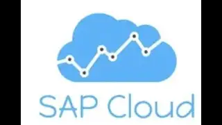How to know which version of SAP S/4 Hana Public cloud you are using