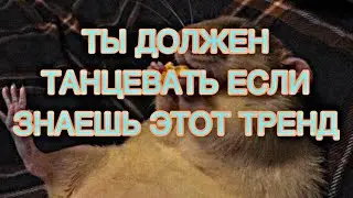 🐁Ты должен танцевать если знаешь эти тренды тик ток 2022 | Tik Tok trend |Музыка для флешмоба