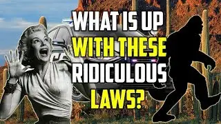 The Top 5 Dumbest Laws Of All Time In The USA