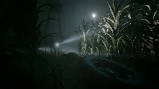 Outlast 2 #5 (Атстань от миня, женщина)