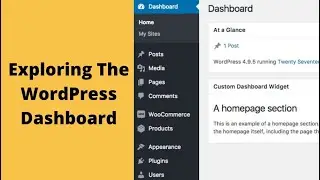 Exploring The WordPress Dashboard