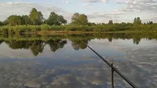 Природа Полесья Река Припять Belarus Pripyat River