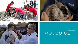 Tiersegnungsgottesdienst, Jugendarbeit und Blick in den Dom: kreuzplus vom 27. September 2024