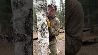 НИКТО НЕ ОЖИДАЛ😧! Владелец готов во всем признаться!