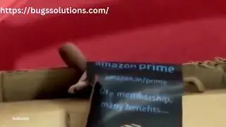 snake came along with the Amazon parcel #snakeinparcel #snakeamazonparcel #snakeviralvideo