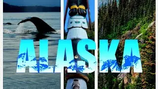 ALASKA'S BEAUTY: WHALE WATCHING, SALMON, AND MORE