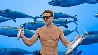 Why Sardines Are the Best Protein: Build Muscle Safely (Avoid Tuna Risks)