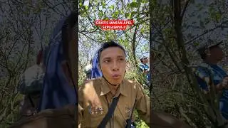 Makan Apel Gratis Sepuasnya